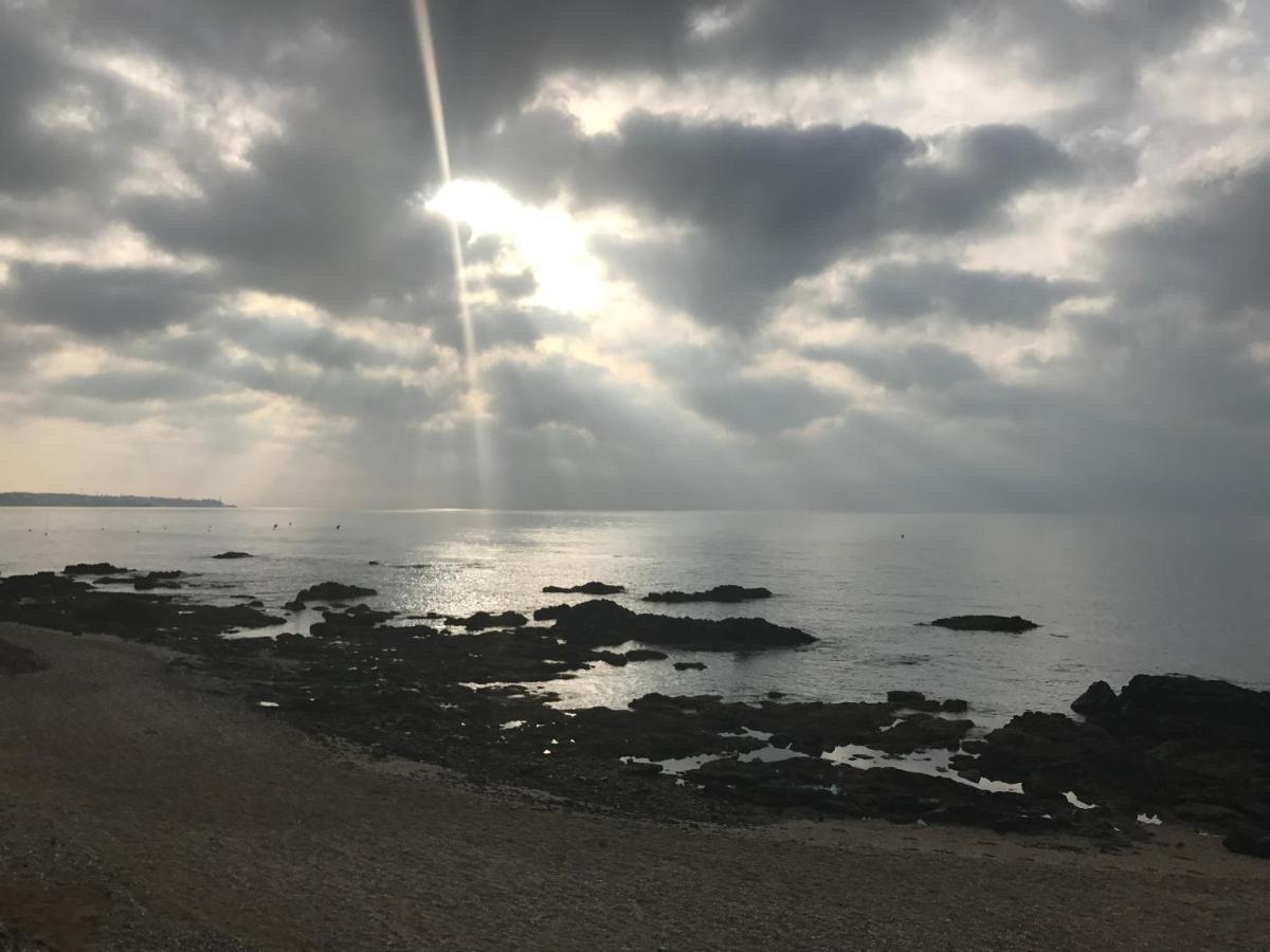 Apartamento Las Mimosas Beach ラ・カラ・デ・ミハス エクステリア 写真